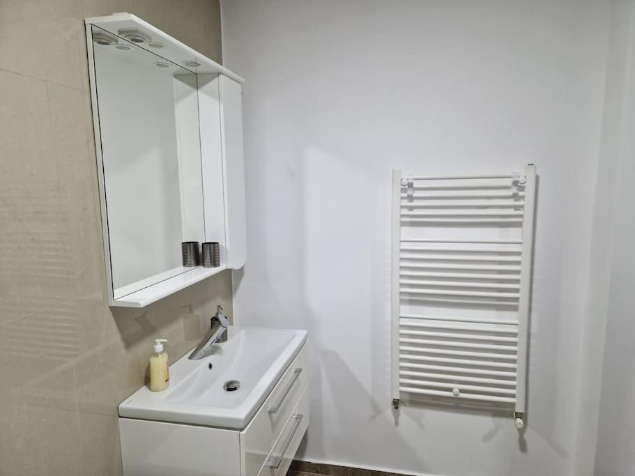 Danube Double Apartment Braila Exterior photo