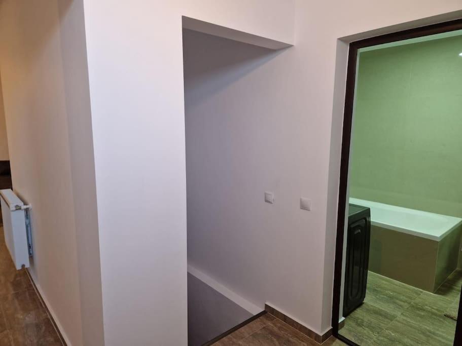 Danube Double Apartment Braila Exterior photo