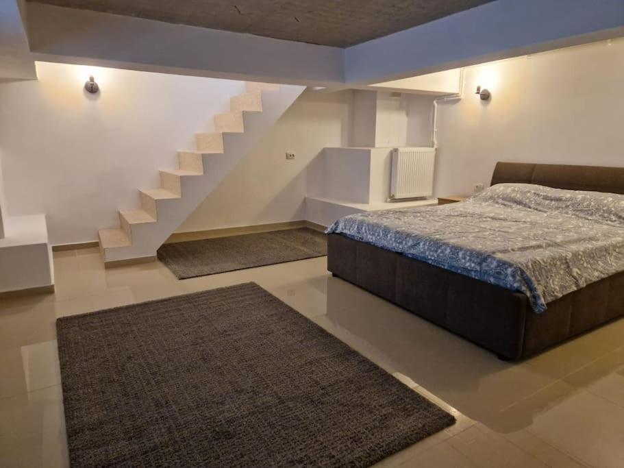 Danube Double Apartment Braila Exterior photo