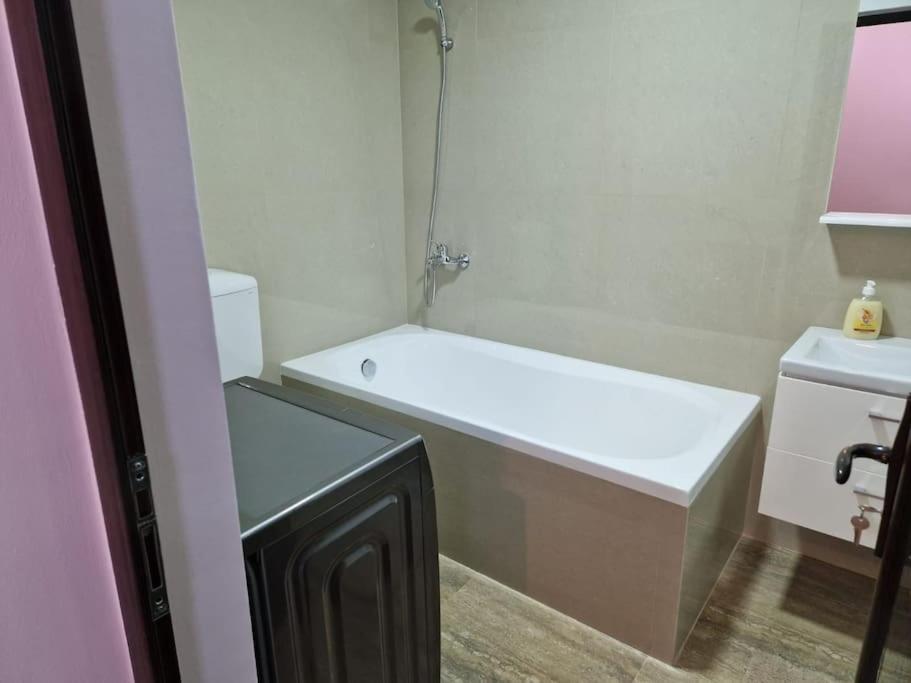 Danube Double Apartment Braila Exterior photo