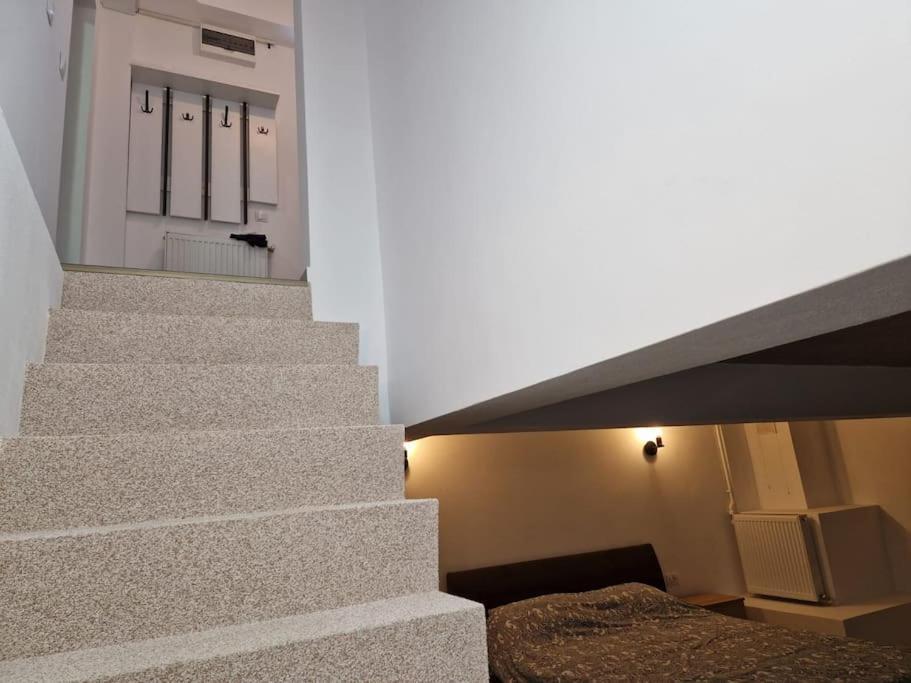 Danube Double Apartment Braila Exterior photo